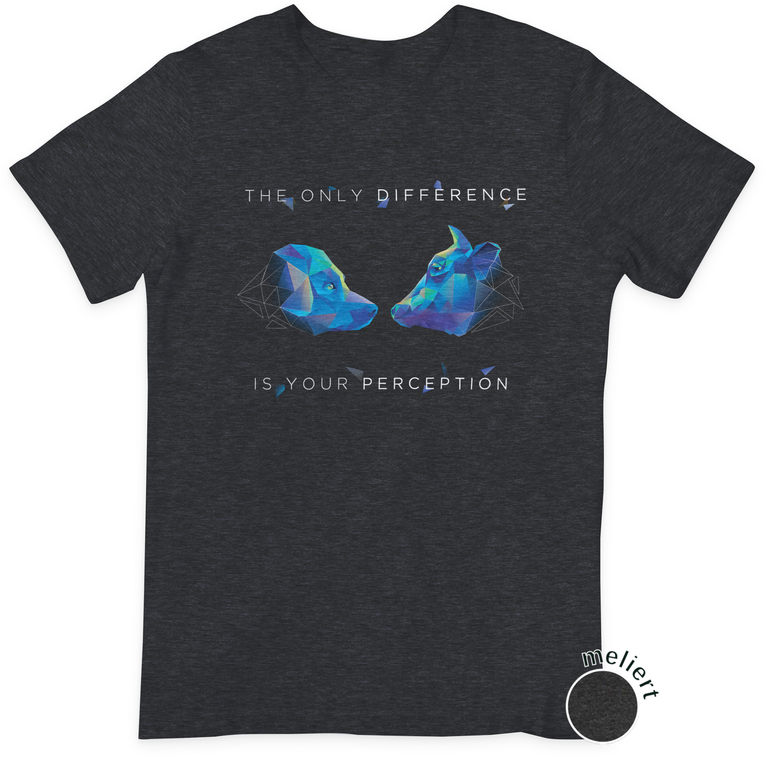 the only Difference is your Perception - Damen T-Shirt