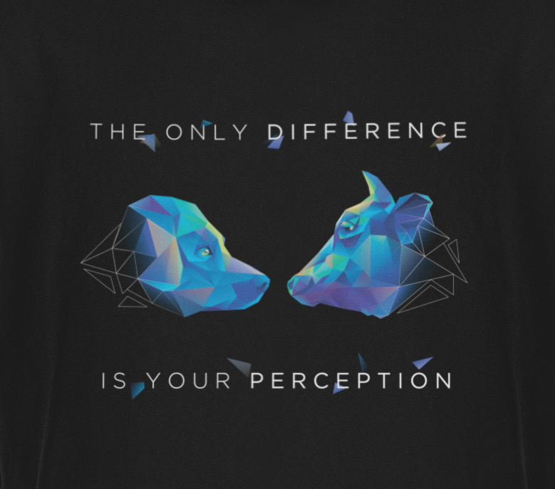 the only Difference is your Perception - Damen Sweatshirt